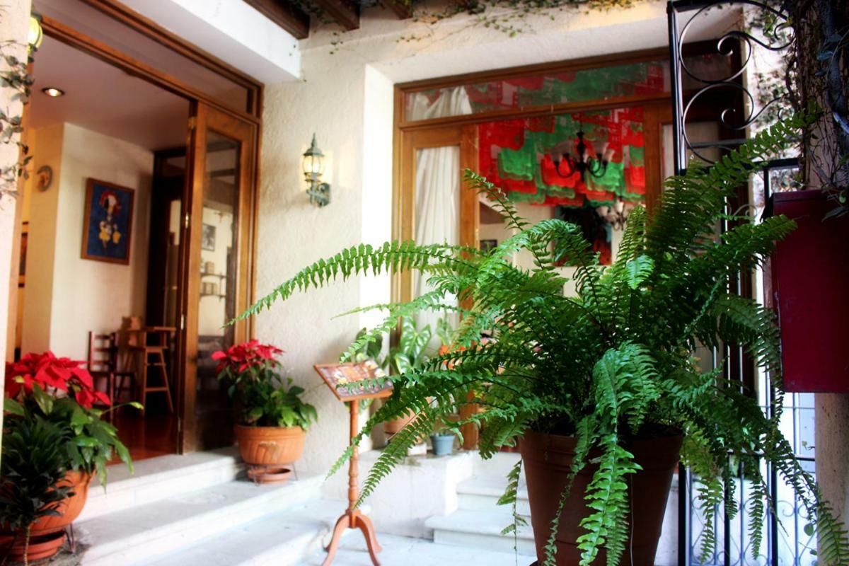 Hotel Maela Oaxaca Ngoại thất bức ảnh