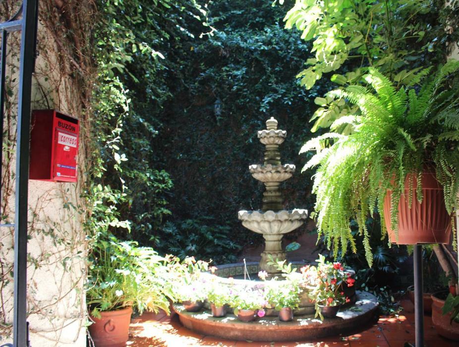 Hotel Maela Oaxaca Ngoại thất bức ảnh